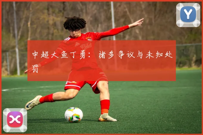 中超大鱼丁勇：诸多争议与未知处罚