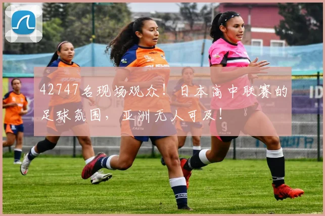 42747名现场观众！日本高中联赛的足球氛围，亚洲无人可及！