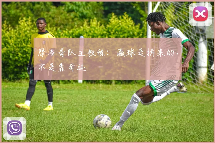 摩洛哥队主教练：赢球是拼来的，不是靠奇迹